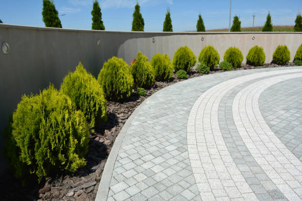 Best Residential Driveway Paver Services  in Fayette, MS